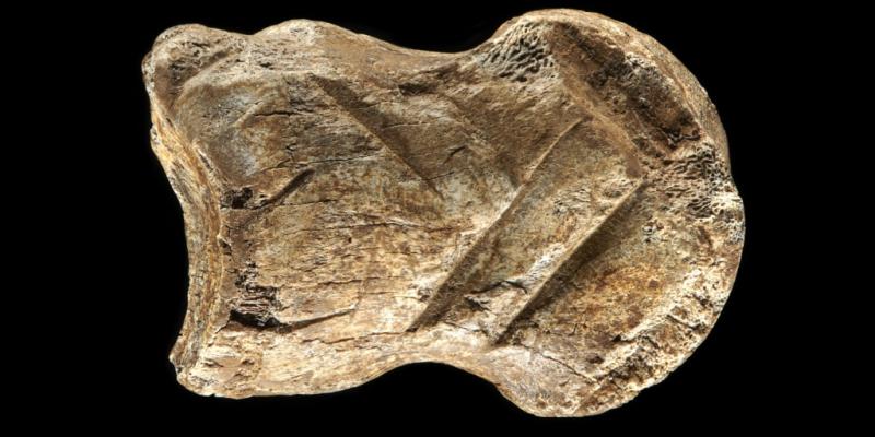A 51,000-year-old carved bone is one of the world's oldest works of art, researchers say
