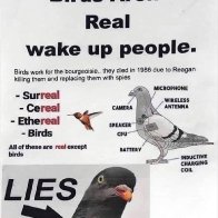 Birds Aren't Real. Movement Says Birds Are Government Drones