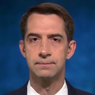 Cotton calls on Biden to 'publicly condemn critical race theory' after admin promotes radical group 