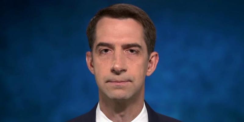 Cotton calls on Biden to 'publicly condemn critical race theory' after admin promotes radical group 