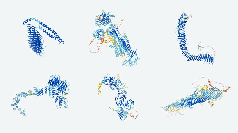 DeepMind puts the entire human proteome online, as folded by AlphaFold
