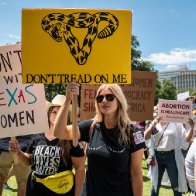 TikTokers flood Texas abortion whistleblower site with Shrek memes, fake reports and porn 