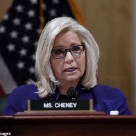 Liz Cheney suggests Steve Bannon and Donald Trump were involved in planning the Jan. 6 riot