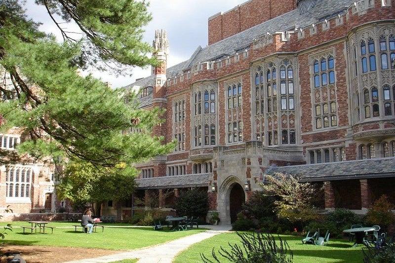 Survey: 34% of white college students lied about their race to improve their admission, financial aid odds