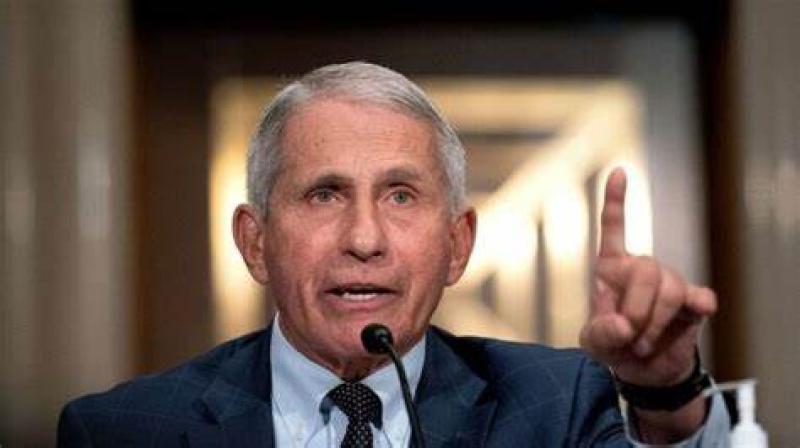 Poll: Majority of voters say Fauci should resign