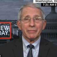 Fauci says US will not ban flights from South Africa for now