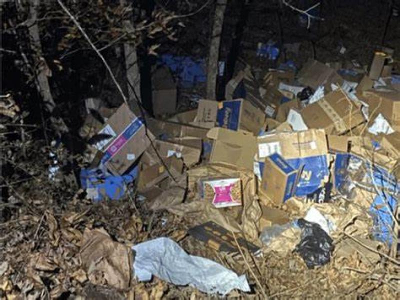 Millions Of Trump Mail -In Votes Found In Alabama Ravine