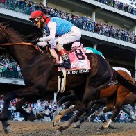 Medina Spirit: Kentucky Derby winner dies at Santa Anita - CNN