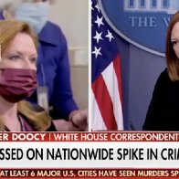 Fox News reporter brings up 'half-million-dollar Christmas-tree' fire in White House briefing, asks Psaki whether suspect's release is 'good governing'