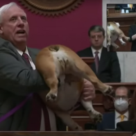 West Virginia Gov. Jim Justice told Bette Midler and critics to kiss his dog's 'heinie' and hoisted the bulldog during his State of the State address: video