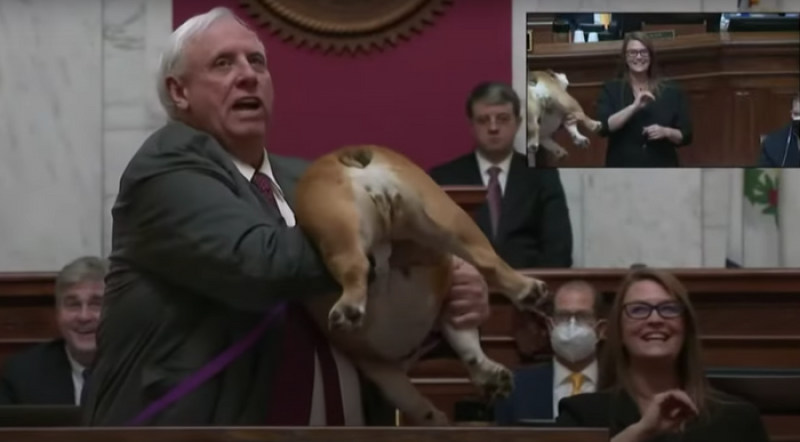 West Virginia Gov. Jim Justice told Bette Midler and critics to kiss his dog's 'heinie' and hoisted the bulldog during his State of the State address: video