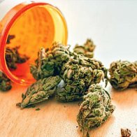 Medical marijuana patients cannot purchase firearms or ammunition, says federal law