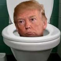 Trump v Toilets