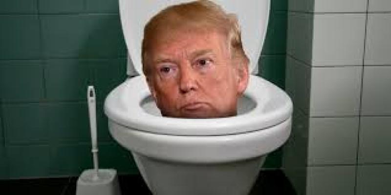 Trump v Toilets
