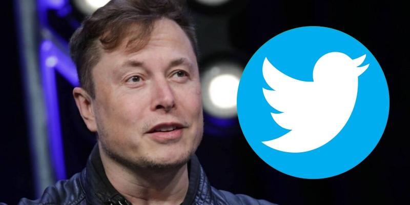 Speculation grows that Elon Musk will start a Twitter alternative 