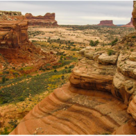 112 million-year-old dinosaur tracks in Utah damaged by construction equipment