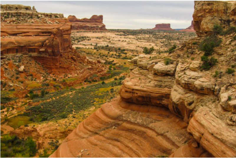 112 million-year-old dinosaur tracks in Utah damaged by construction equipment