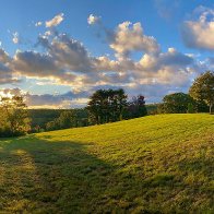 Great Barrington Declaration