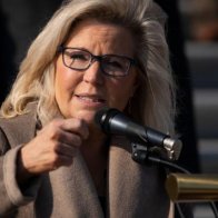 Alan Dershowitz believes Liz Cheney will become a Democrat and run against Trump