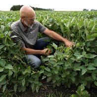 US asks farmers: Can you plant 2 crops instead of 1? | AP News