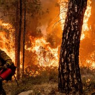 Dozens of buildings burn as gusty winds fan California wildfire