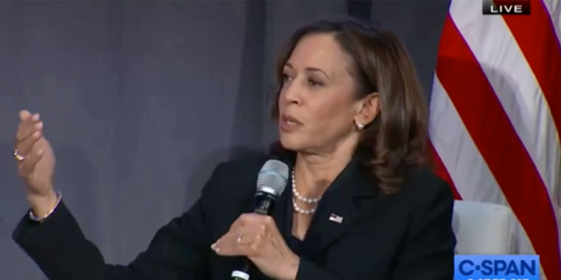 Kamala Harris ripped for claiming government's Hurricane Ian relief will prioritize 'communities of color' 