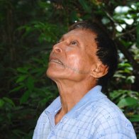 Amazon tribe creates 500-page traditional medicine encyclopedia