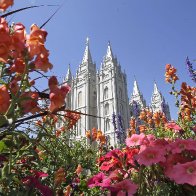 Mormon church voices support for same-sex marriage law | AP News