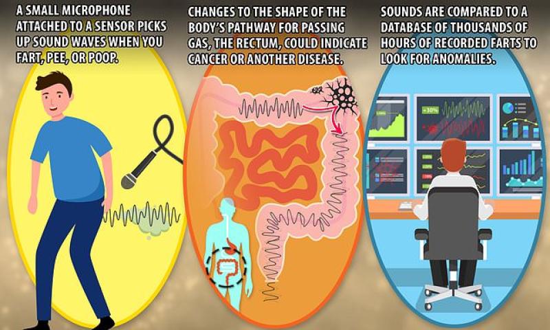 AI that listens for CANCER in farts: Scientists develop device they hope will spot deadly diseases