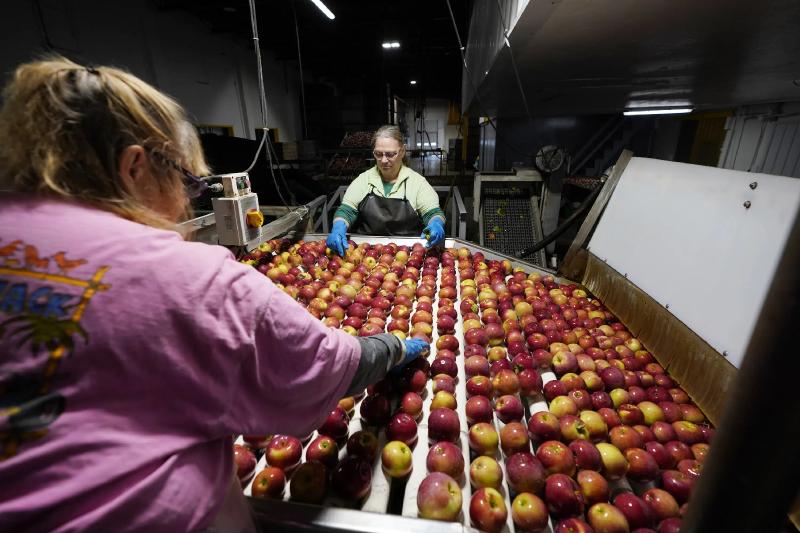 Fight to curb food waste increasingly turns to science | AP News