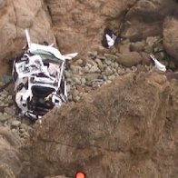 Luck, Tesla design likely saved family that plunged off cliff, experts say