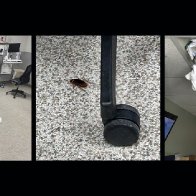 Roaches in the operating room: Doctors at HCA hospital in Florida say patient care has suffered from cost cutting