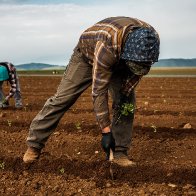 Opinion | How Immigrants Are Saving the Economy - The New York Times