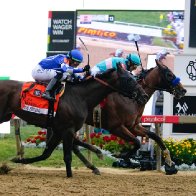 National Treasure gallops to victory in the 148th Preakness Stakes