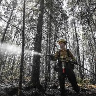 Rain brings much-needed relief to firefighters battling Nova Scotia wildfires | AP News