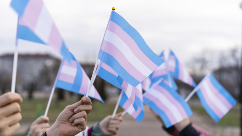 Federal judge blocks Florida ban on gender-affirming care for minors in narrow ruling, says 'gender identity is real' | PBS NewsHour