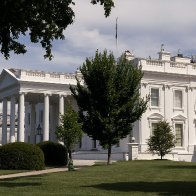 Secret Service to end probe of White House cocaine discovery 