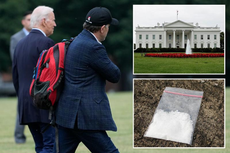 The Secret Service's investigation on the cocaine found in the White House blows