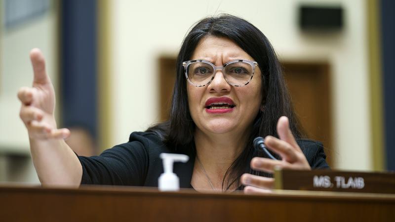 Tlaib labels Israel an 'apartheid state' in impassioned floor speech 