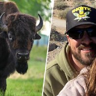 Woman gored by bison during Yellowstone  trip gets engaged next to hospital bed