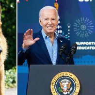 Biden's dog Commander terrorizes Secret Service in 'extremely aggressive' rampage: emails 