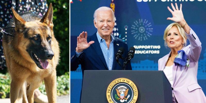 Biden's dog Commander terrorizes Secret Service in 'extremely aggressive' rampage: emails 