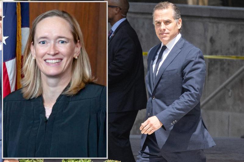 The fix was in for Hunter Biden — until a hero judge stepped up