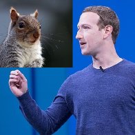 BREAKING: Mark Zuckerberg discovered dead in midst of squirrel orgy and you know this is from a real news source since it’s being blocked on Meta