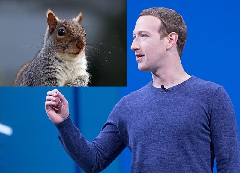 BREAKING: Mark Zuckerberg discovered dead in midst of squirrel orgy and you know this is from a real news source since it’s being blocked on Meta