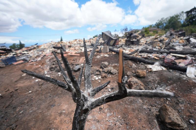 Space lasers, boat burnings and elite land grabs: How Maui wildfires became fodder for conspiracy theorists | The Independent