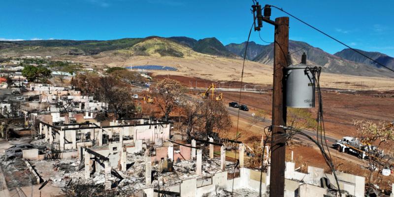 Maui victims seek ex-consultant's files on what Hawaiian Electric knew about wildfire risks