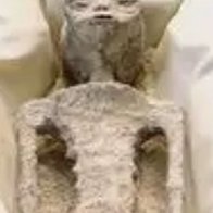 Its Amazing How Much This 1000 Year Old Alien Mummy Looks Like 1982's E.T. 