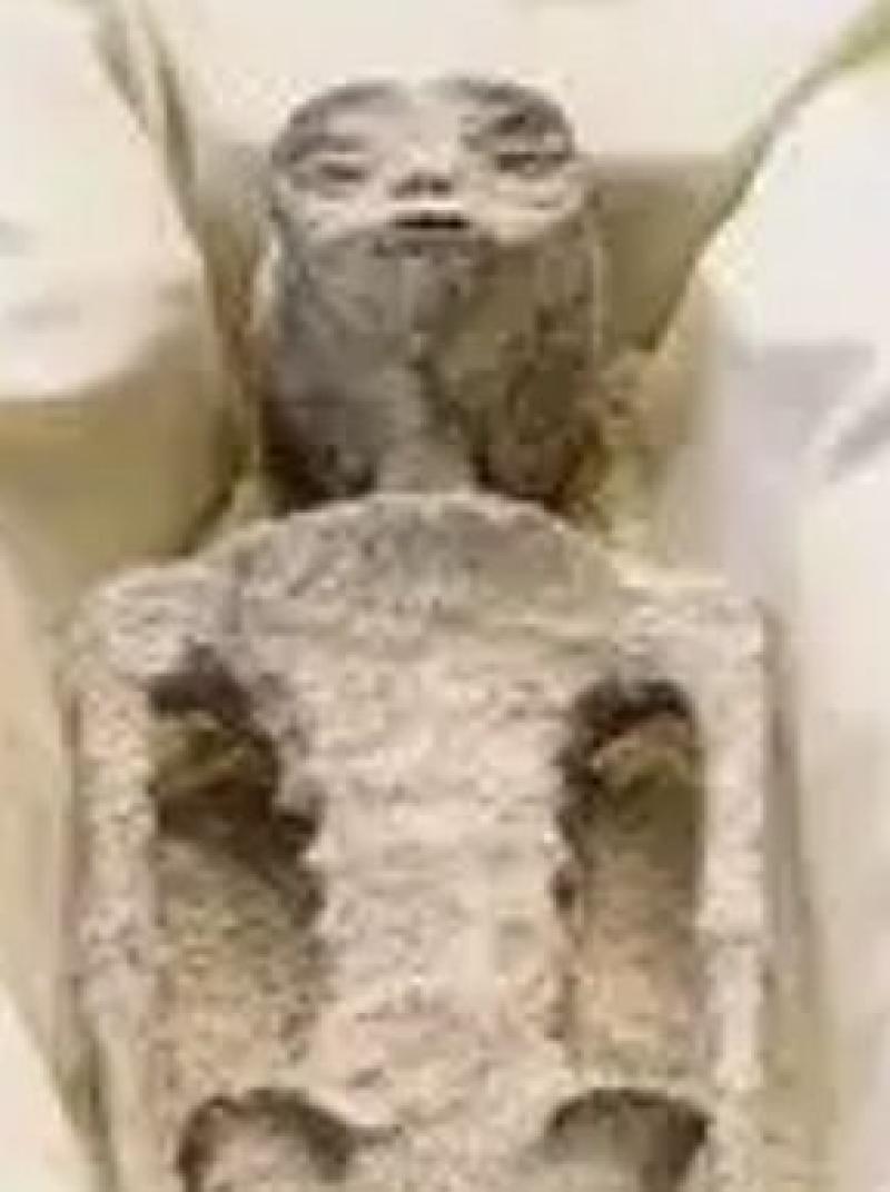 Its Amazing How Much This 1000 Year Old Alien Mummy Looks Like 1982's E.T. 