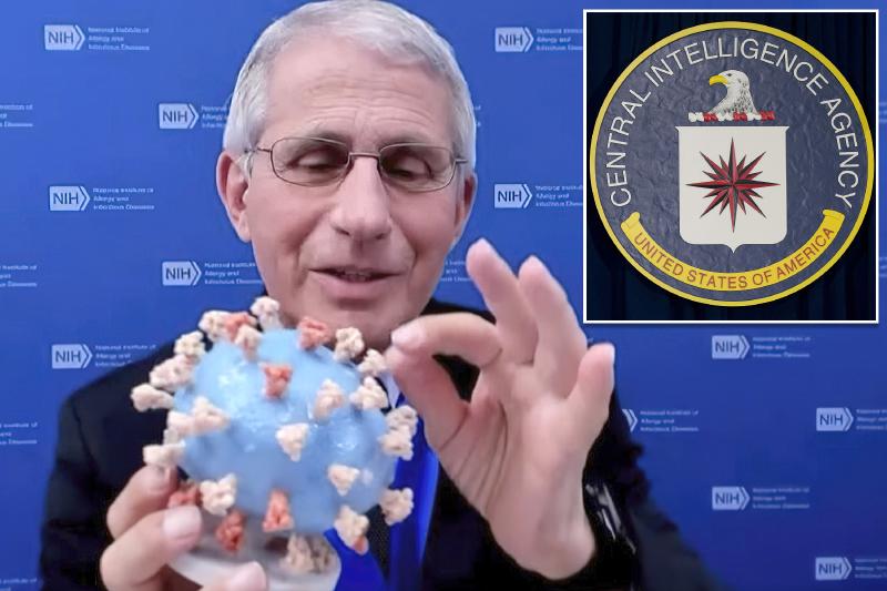 Fauci ​​secretly went to CIA HQ to 'influence' COVID-19 origins probe, House Republican alleges